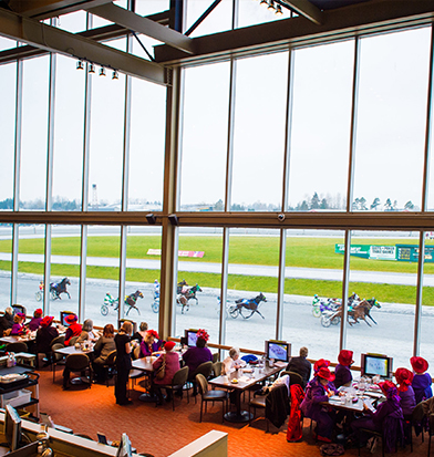 horse racing image