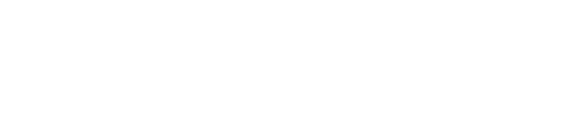bingo logo